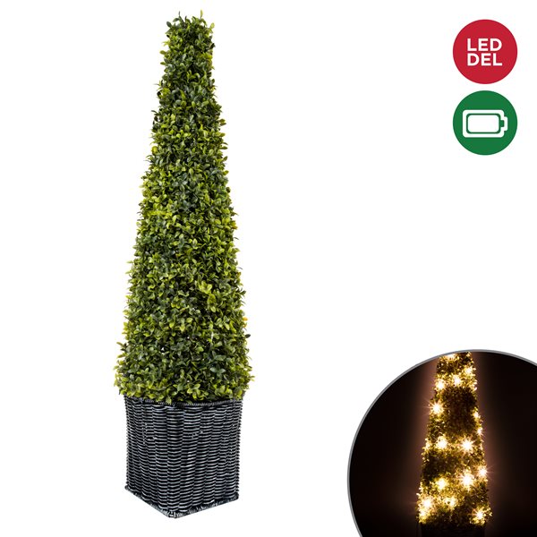 ILLUMINATED TOPIRY BOXWOOD