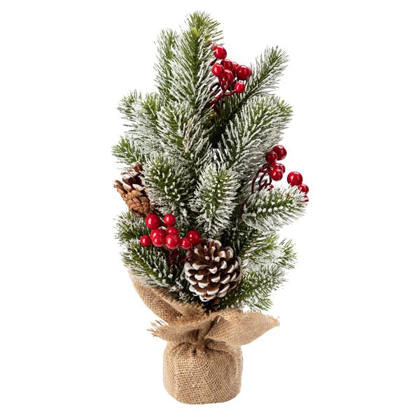 SAPIN DE PIN GIVRÉ