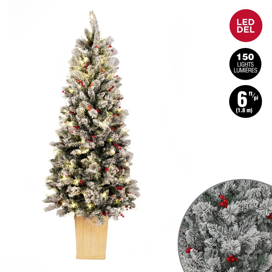 SAPIN NOEL VERT FLOQUE