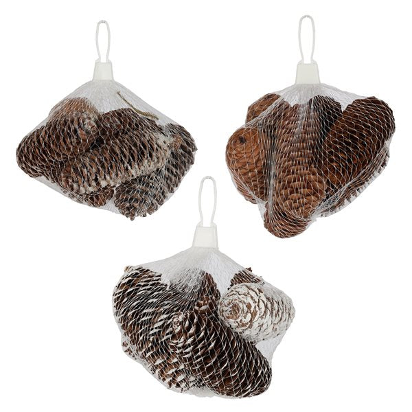 Natural Pine Cones
