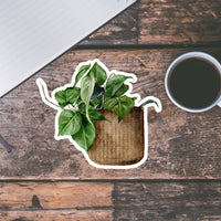 AUTOCOLLANT - PLANTE D'INTÉRIEUR