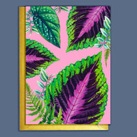 CARTE DE VOEUX - PLANTES D'INTERIEUR COLEUS ROSE