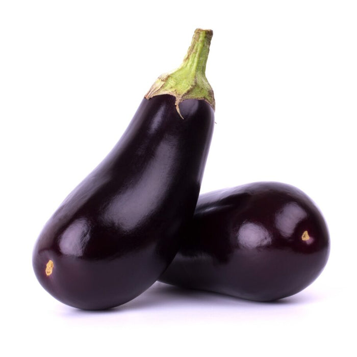 AUBERGINE - NOIRE