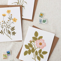 Wild Rose | Greeting Card