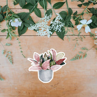 AUTOCOLLANT - PLANTE D'INTÉRIEUR