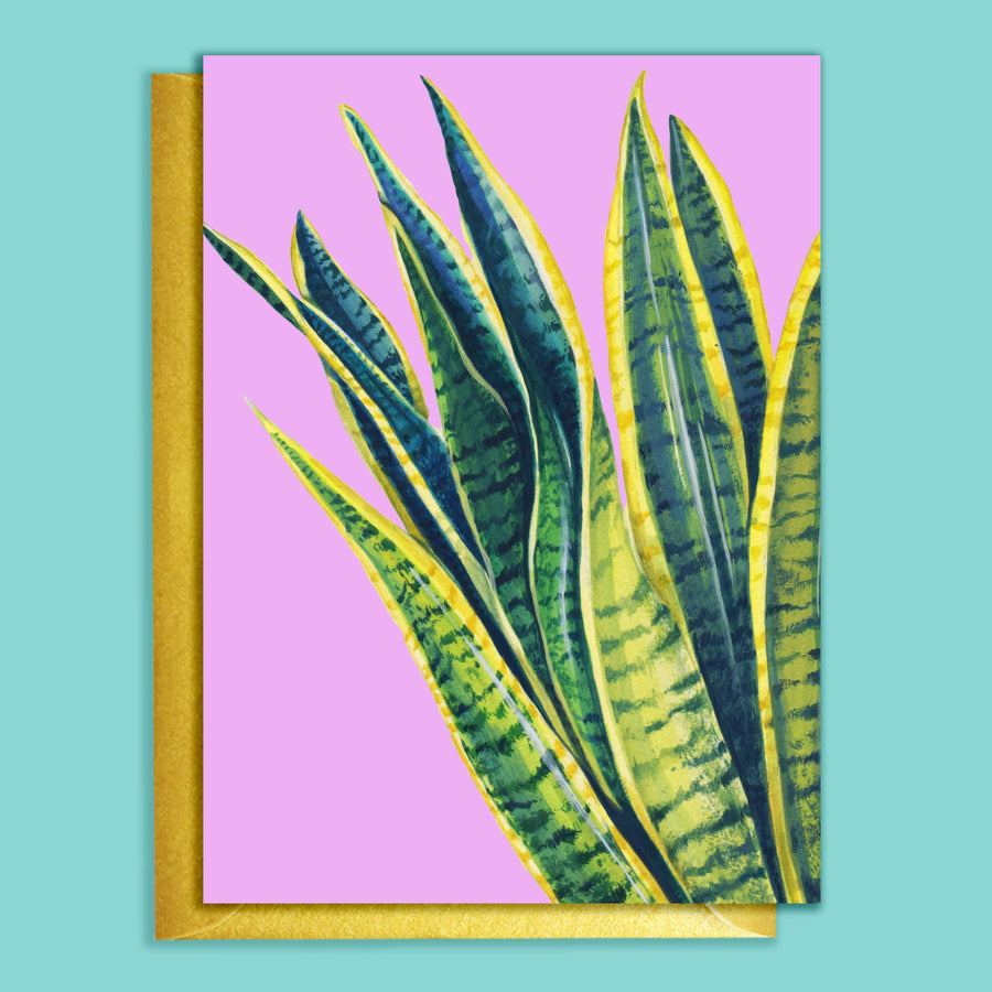CARTE SNAKE HOUSEPLANTS