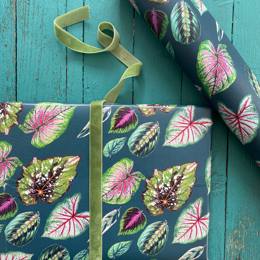PAPIER CADEAU - BEAUTIFUL HOUSEPLANTS