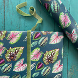 PAPIER CADEAU - BEAUTIFUL HOUSEPLANTS