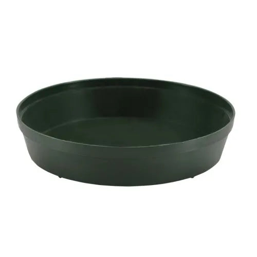 SOUCOUPE RONDE PLANTERS PRIDE