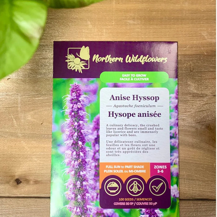 SEMENCES DE FLEURS: HYSOPE ANISEE