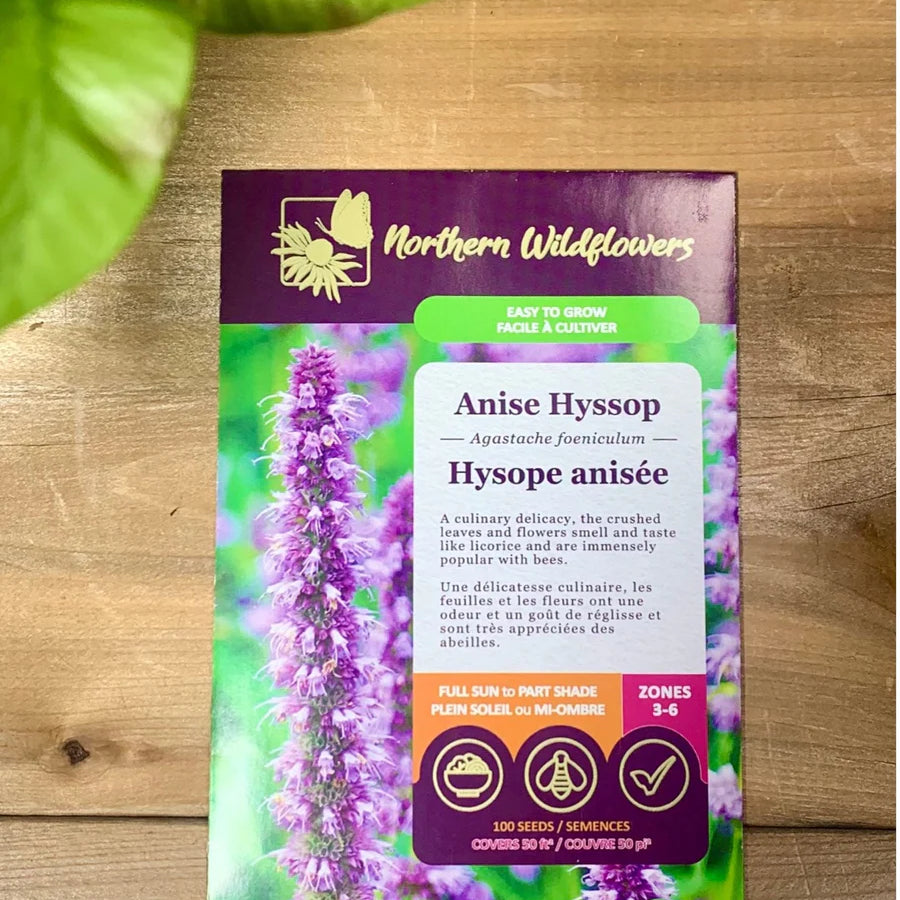 FLOWER SEEDS: ANISE HYSSOP