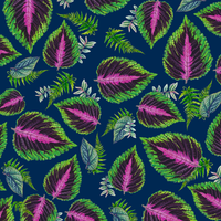 PAPIER CADEAU - COLEUS HOUSEPLANTS BLEU MARINE