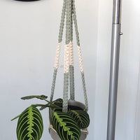SUPPORT POUR PLANTES EN MACRAMÉ BICOLORE | JARDINIÈRE SUSPENDU D'INTÉRIEUR