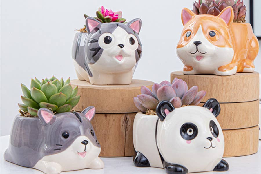 POTS - PETS