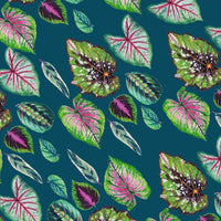 PAPIER CADEAU - BEAUTIFUL HOUSEPLANTS