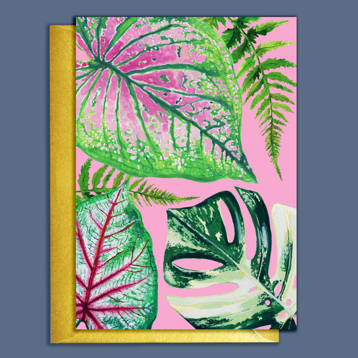 CARTE DE VOEUX - JOLIES PLANTES D'INTÉRIEUR DIVERSES