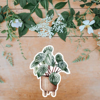 AUTOCOLLANT - PLANTE D'INTÉRIEUR