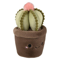 PELUCHE - PLANTES GRASSES