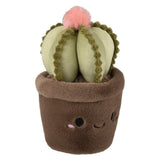 PELUCHE - PLANTES GRASSES