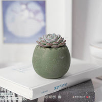 POT - OEUF ARC-EN-CIEL