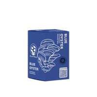 KIT DE CHAMPIGNONS PLEUROTES BLEUS