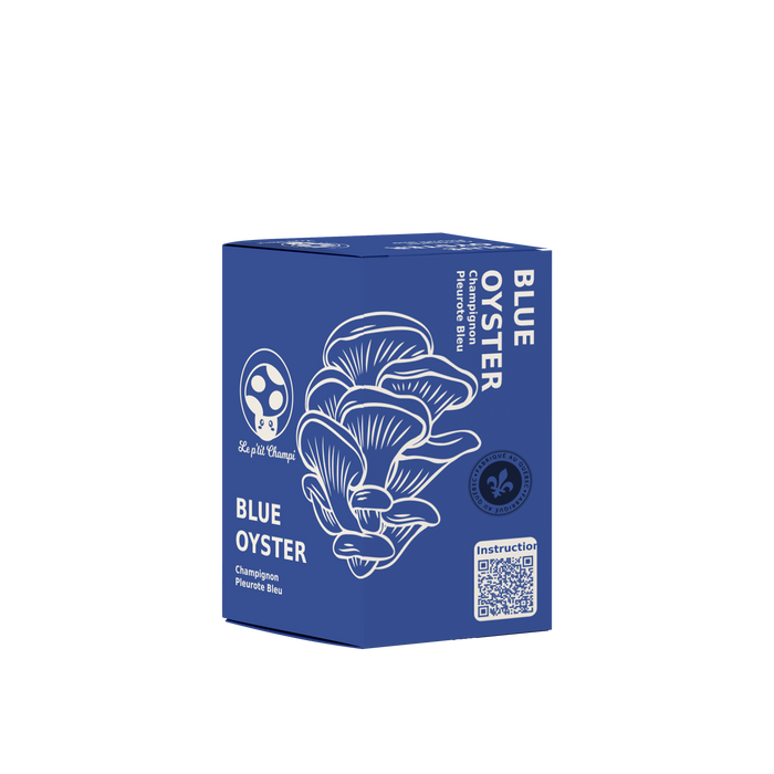 KIT DE CHAMPIGNONS PLEUROTES BLEUS
