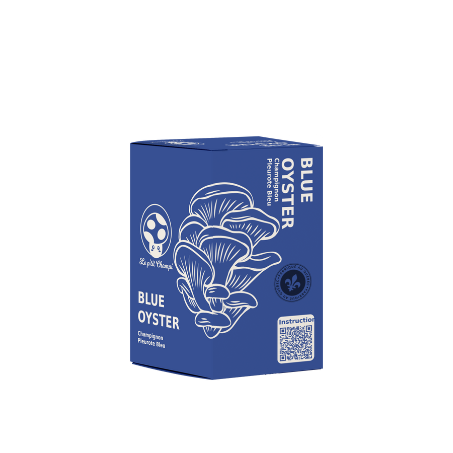BLUE OYSTER MUSHROOM GROWING KIT