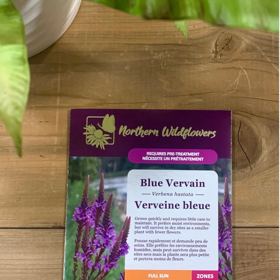 FLOWER SEEDS: BLUE VERVAIN