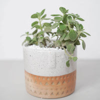 POT - MEULES DE FOIN