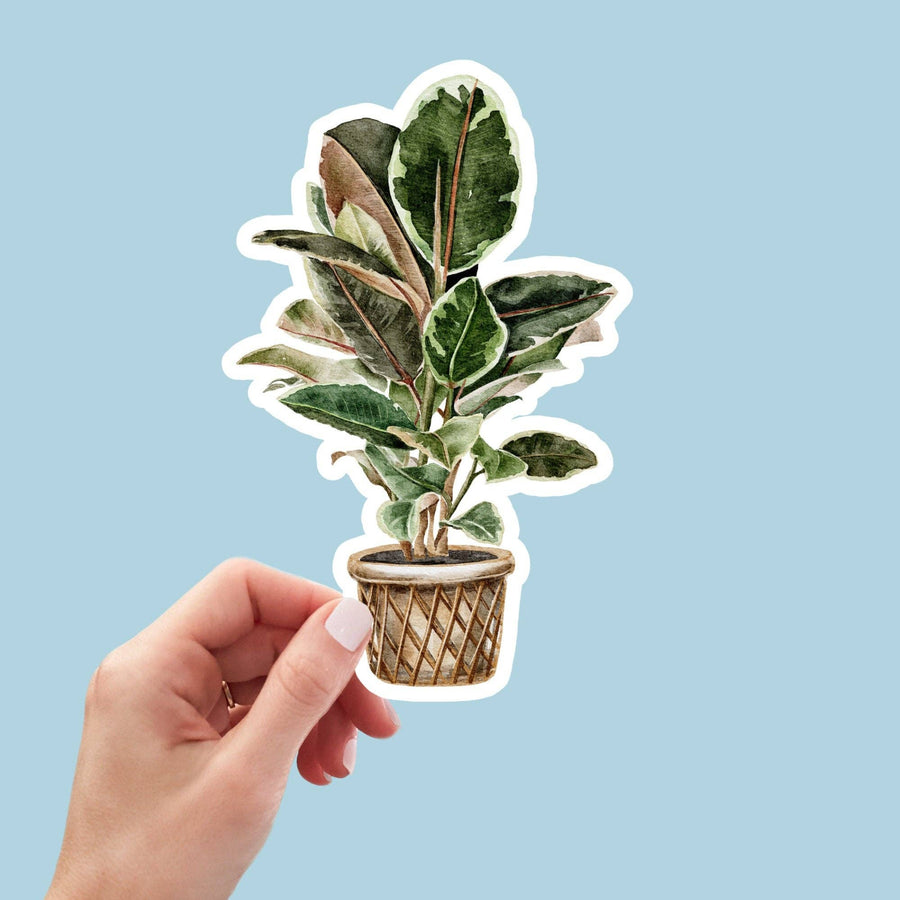 AUTOCOLLANT - PLANTE D'INTÉRIEUR