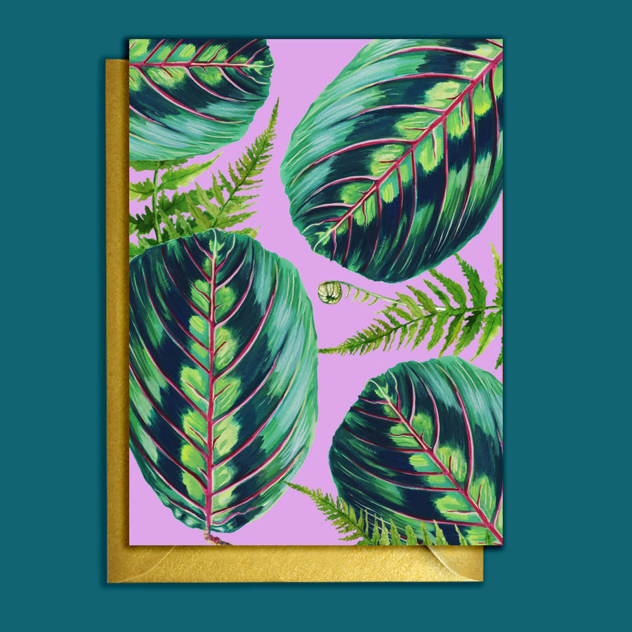 GREETING CARD - HOUSEPLANT
