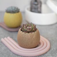 POT - OEUF ARC-EN-CIEL