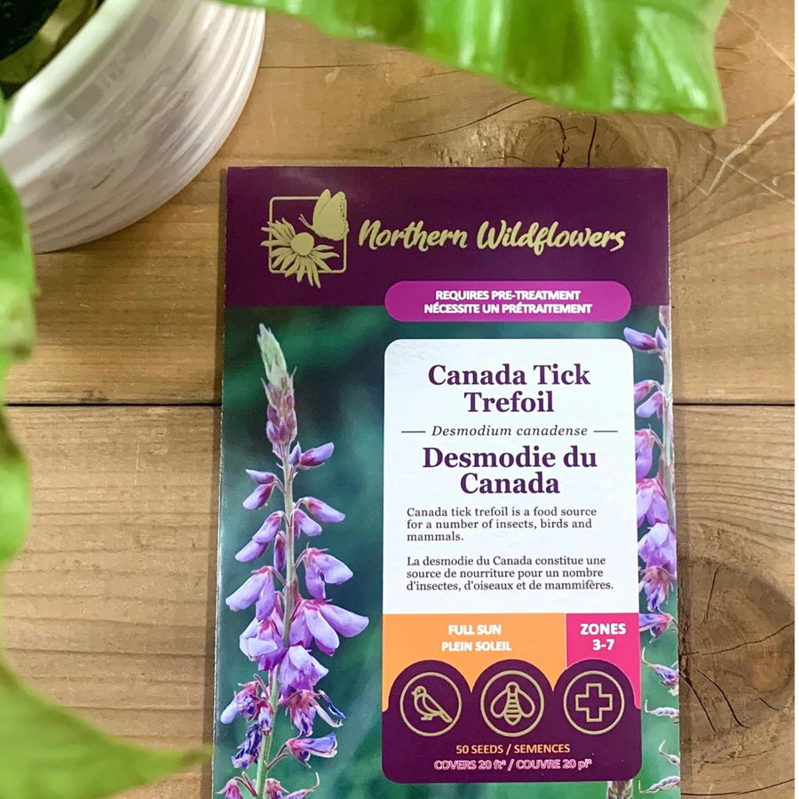 FLOWER SEEDS: CANADA TICK-TREFOIL