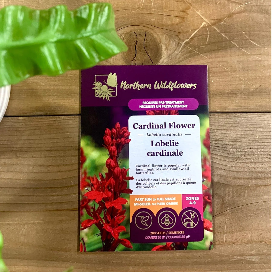 FLOWER SEEDS: CARDINAL LOBELIA