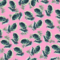 PAPIER CADEAU - BEAUTIFUL HOUSEPLANTS