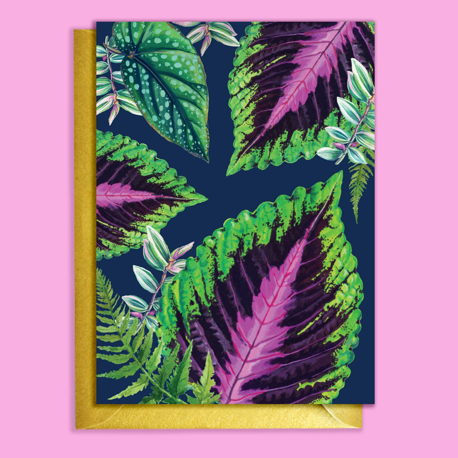 CARTE PLANTES DÌNTERIEUR COLEUS & NAVY