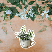 AUTOCOLLANT - PLANTE D'INTÉRIEUR