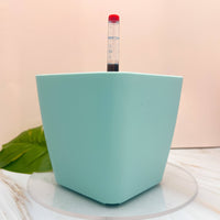 POT AUTO-ARROSANT DE 6 POUCES