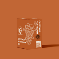 KIT DE CULTURE DE CHAMPIGNON CHESTNUT