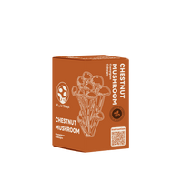 KIT DE CULTURE DE CHAMPIGNON CHESTNUT