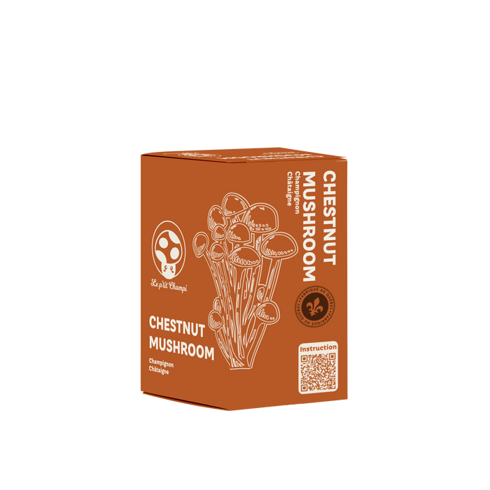KIT DE CULTURE DE CHAMPIGNON CHESTNUT
