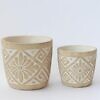 CEMENT FLOWER POT