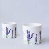 TERRACOTTA FLOWER POT - LAVENDER