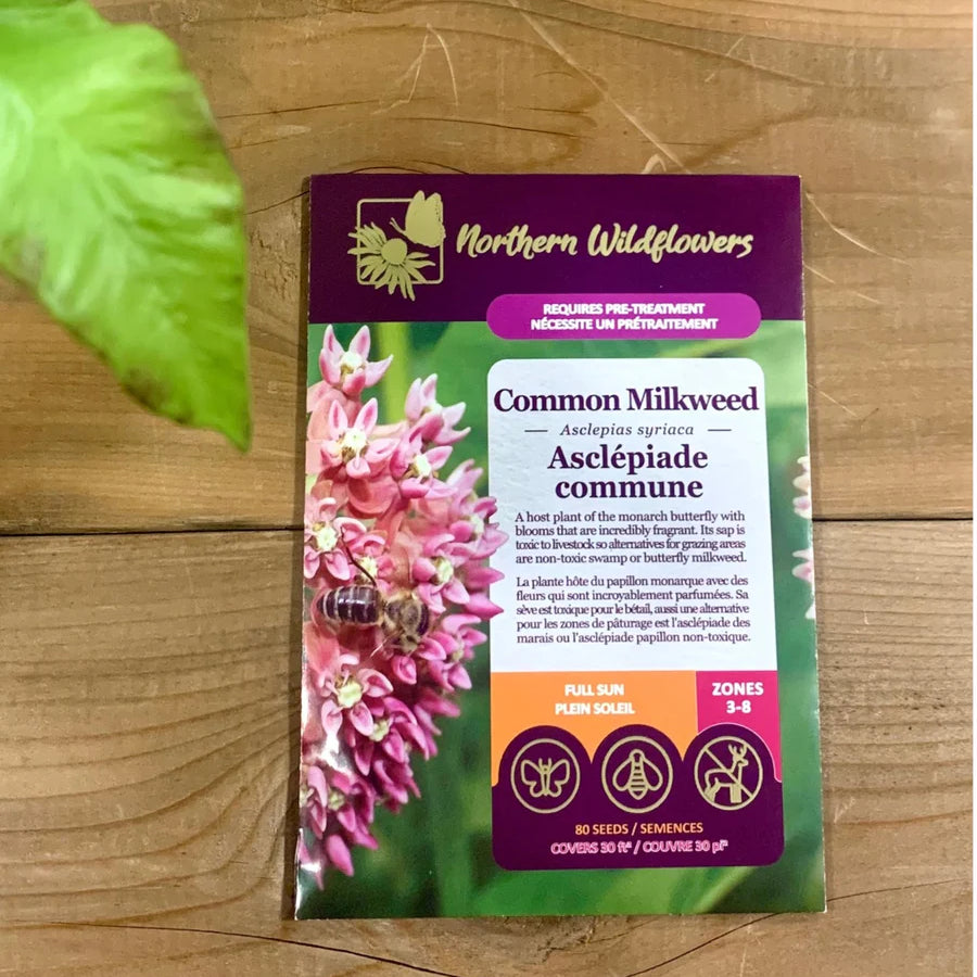 FLOWER SEEDS: COMMON MILKWEED