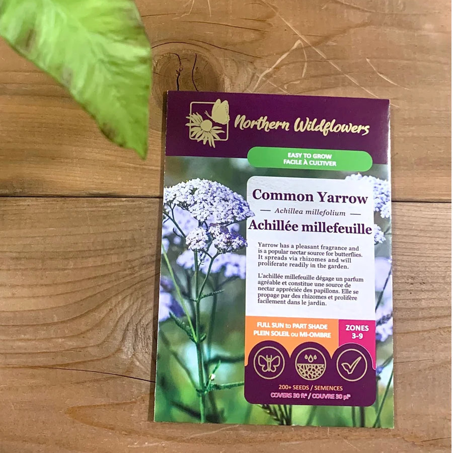 FLOWER SEEDS: YARROW