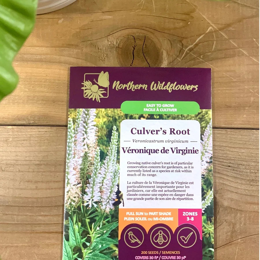 FLOWER SEEDS: CULVER'S ROOT