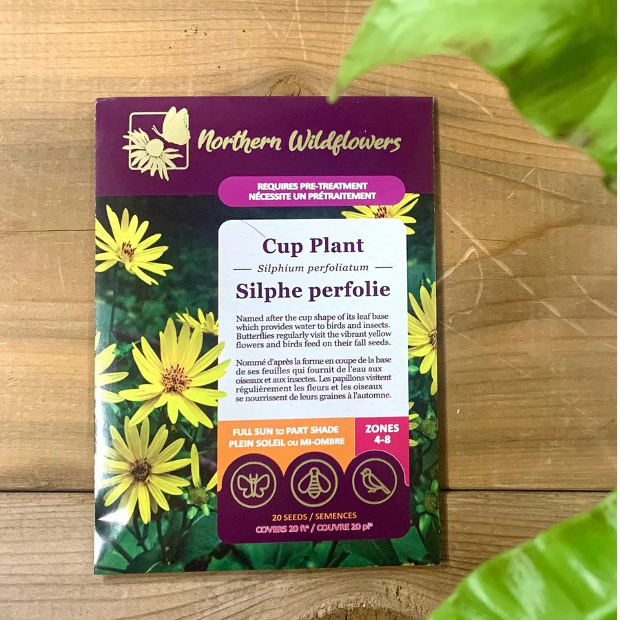 FLOWER SEEDS: CUP PLANT