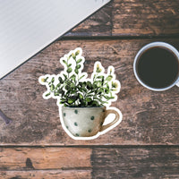 AUTOCOLLANT - PLANTE D'INTÉRIEUR