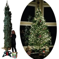 SUPPORT POUR ARBRES DE NOEL