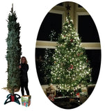 SUPPORT POUR ARBRES DE NOEL